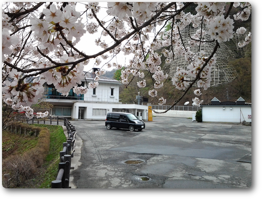 米の粉の滝、満開の桜とモビちゃん