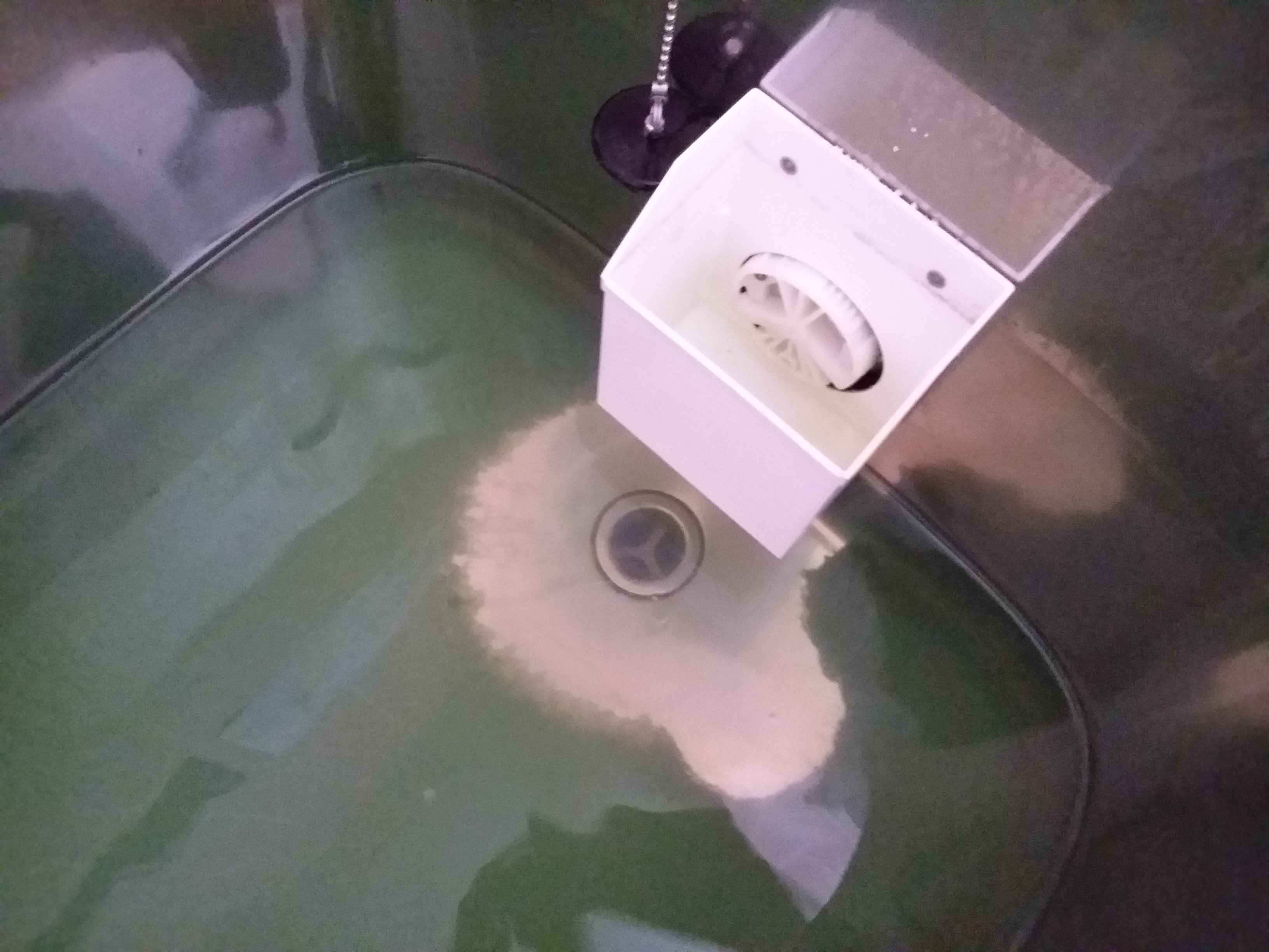 浴槽をクリーニングして排水 浴槽をクリーニングして排水