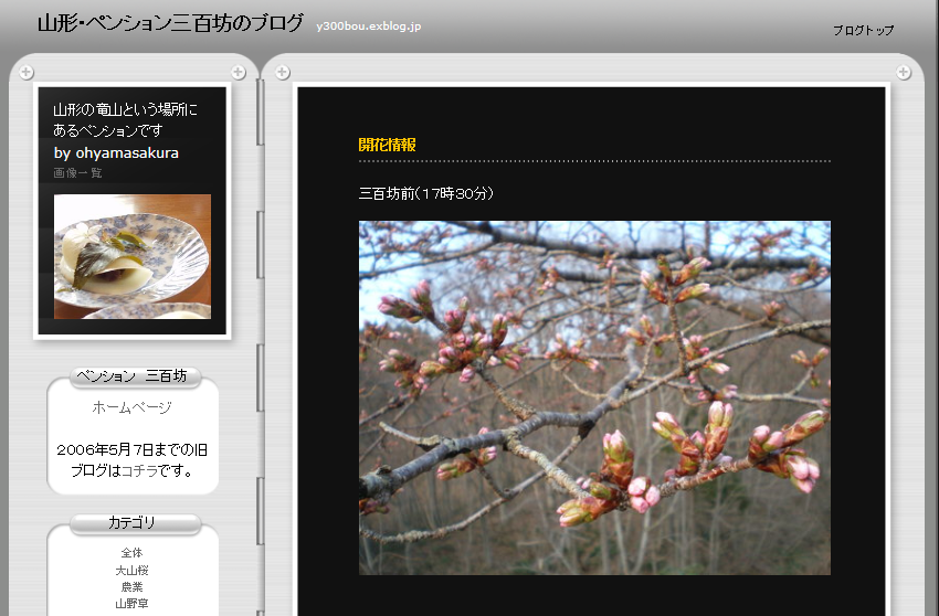 西蔵王 大山桜に一番近いペンション三百坊さん